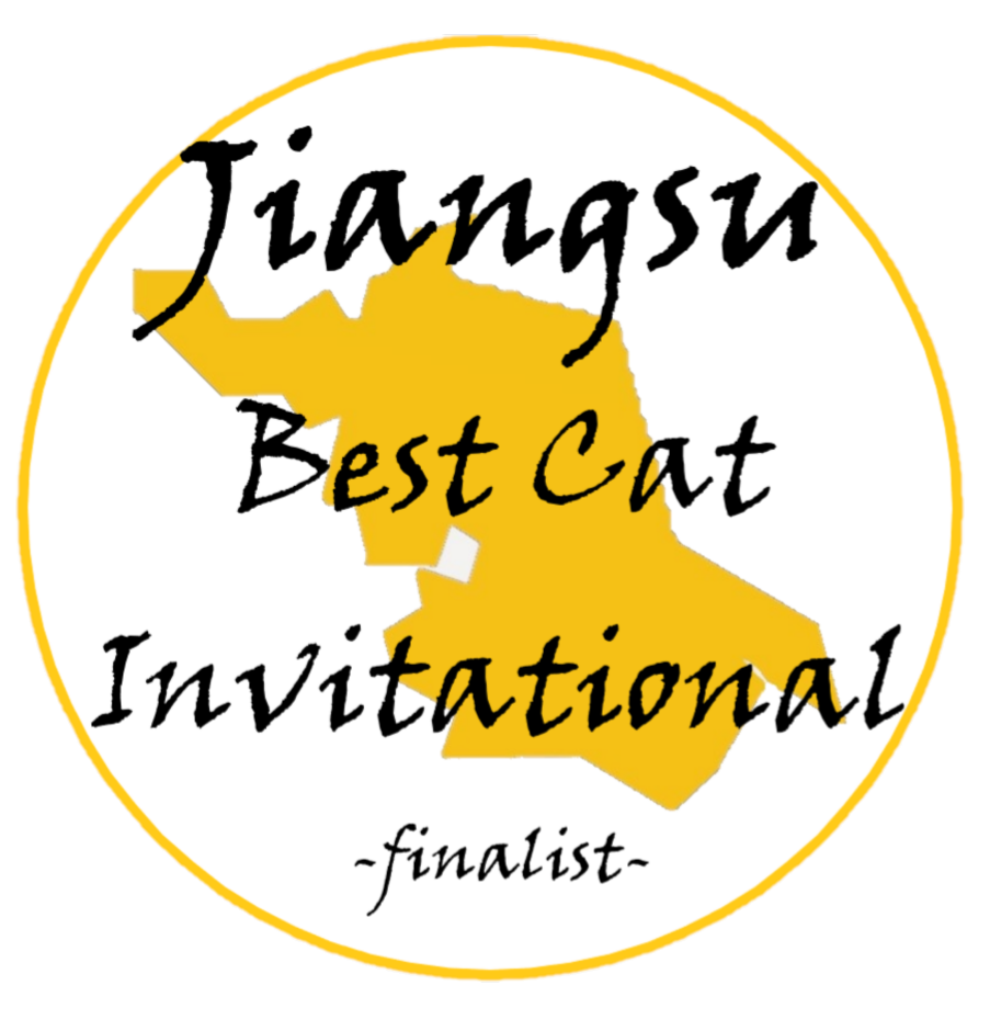 Jiangsu 'Best Cat Invitational' Finalist