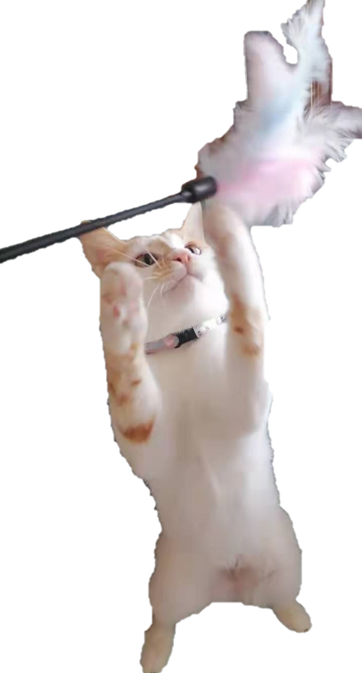 Feather on stick