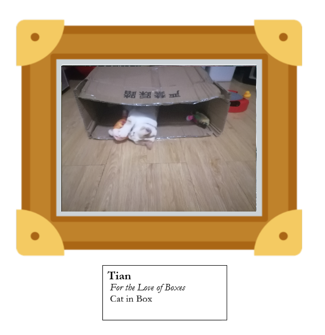 For The Love Of Boxes