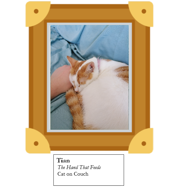 The Hand That Feeds