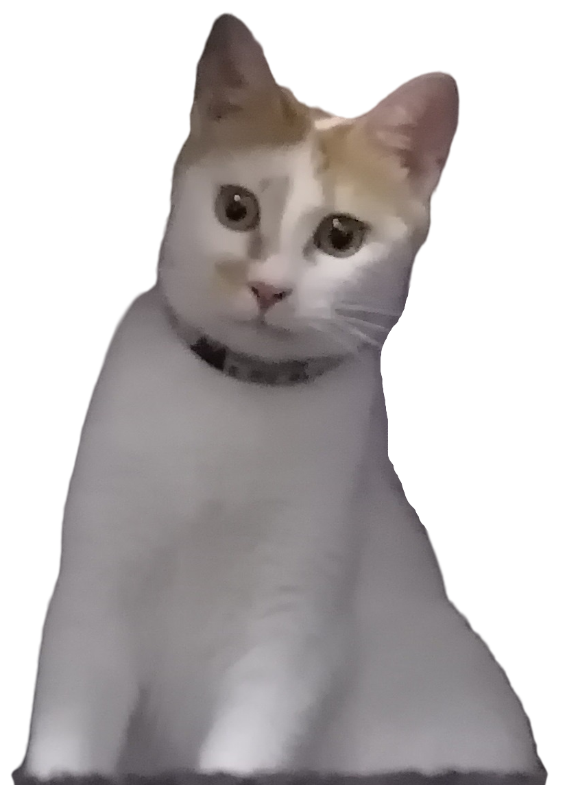Tian on Cat Castle